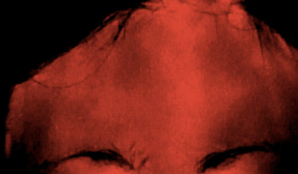 Infrared image of the forehead and prefrontal cortex after neurofeedback session 4, bright and uniform